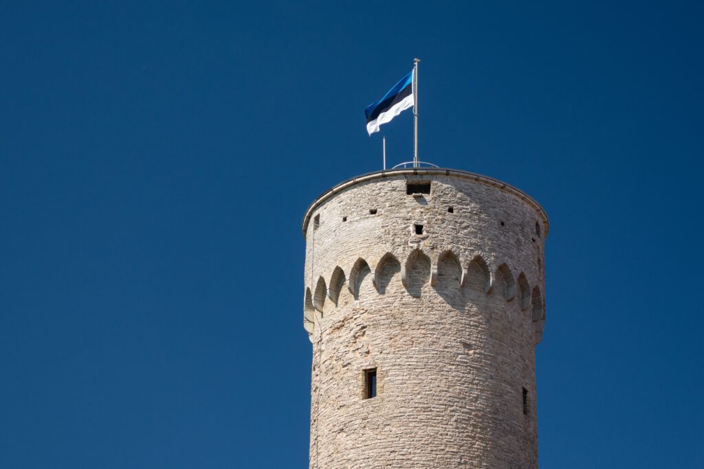 Estonian e-Business