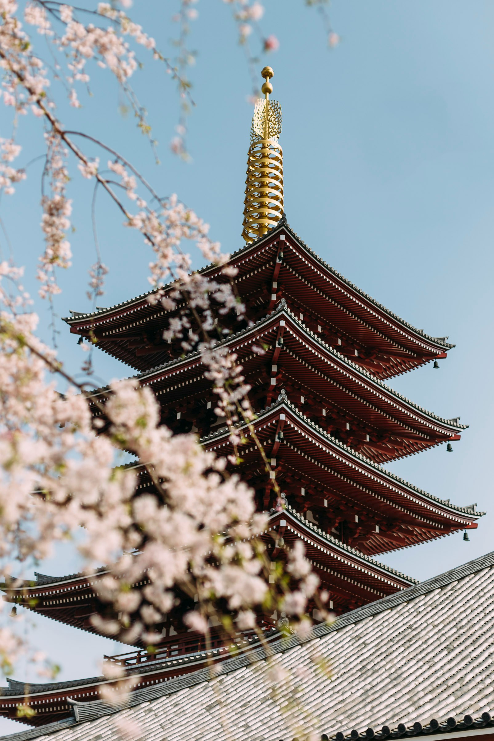 Get the Japan digital nomad visa and go admire the pagodas