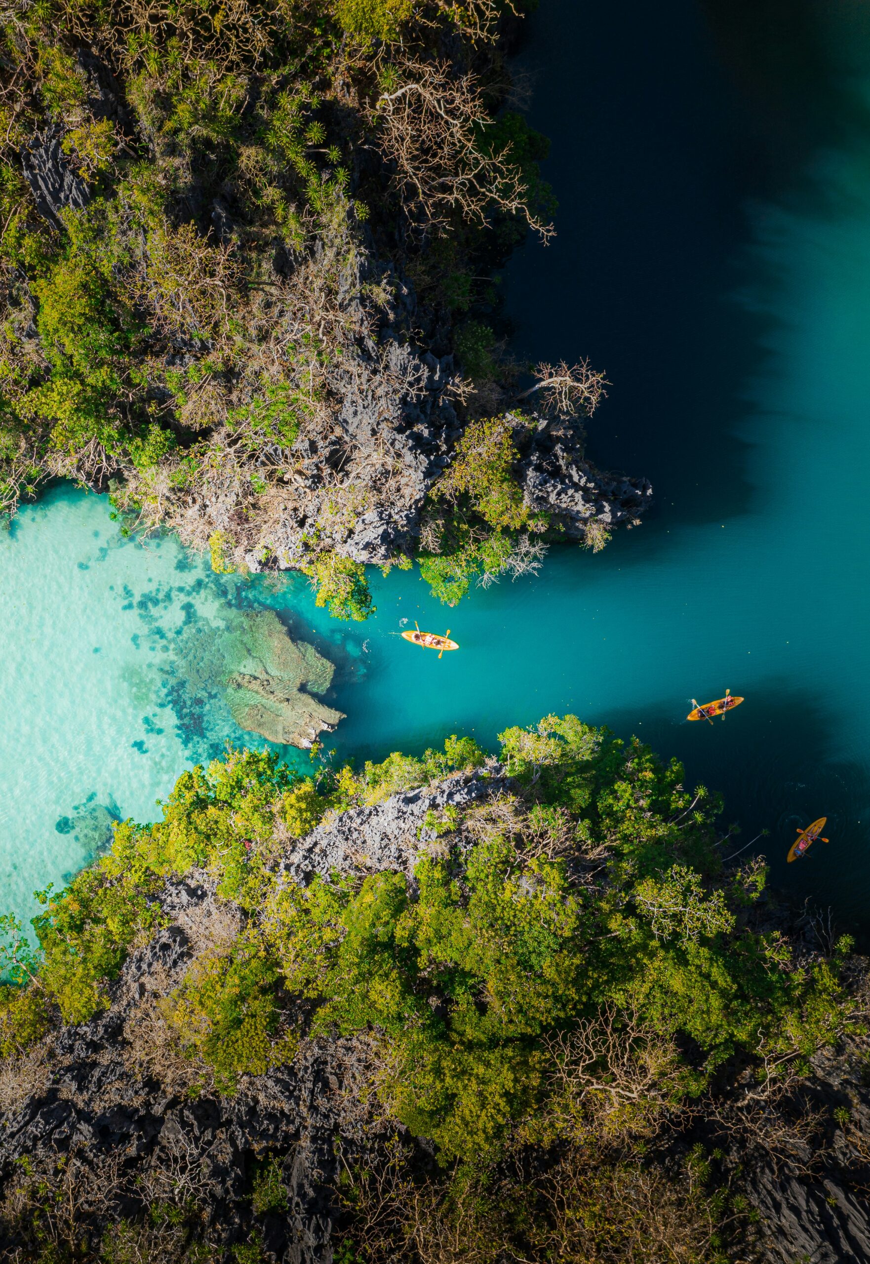 Get tax residency in the Philippines for digital nomads and enjoy the beautiful nature