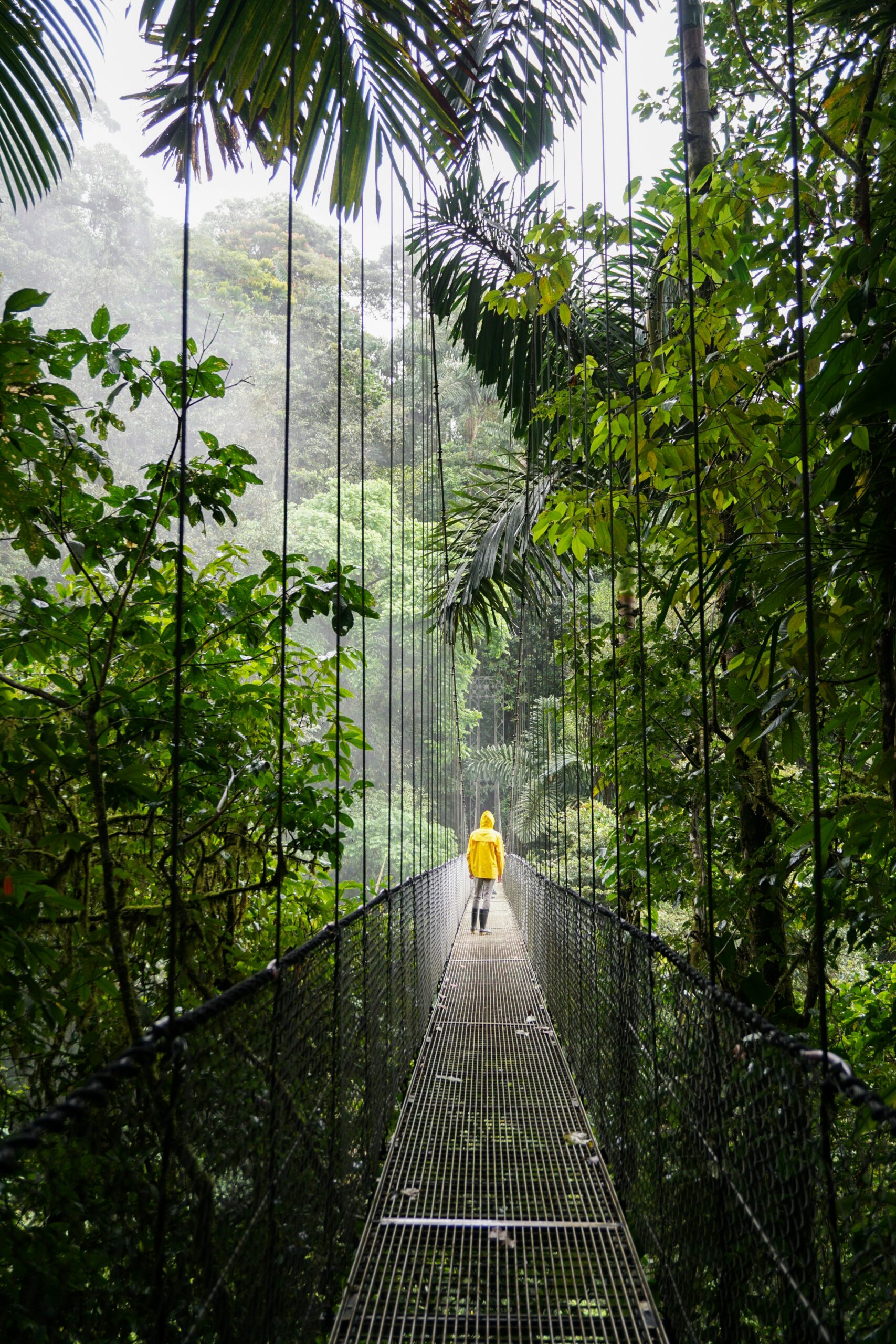Rainforest Costa Rica