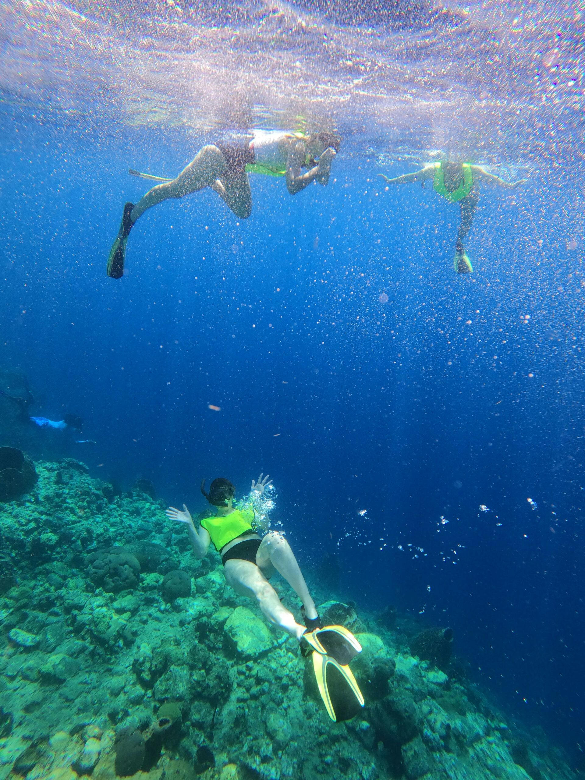 Snorkling in Dominica