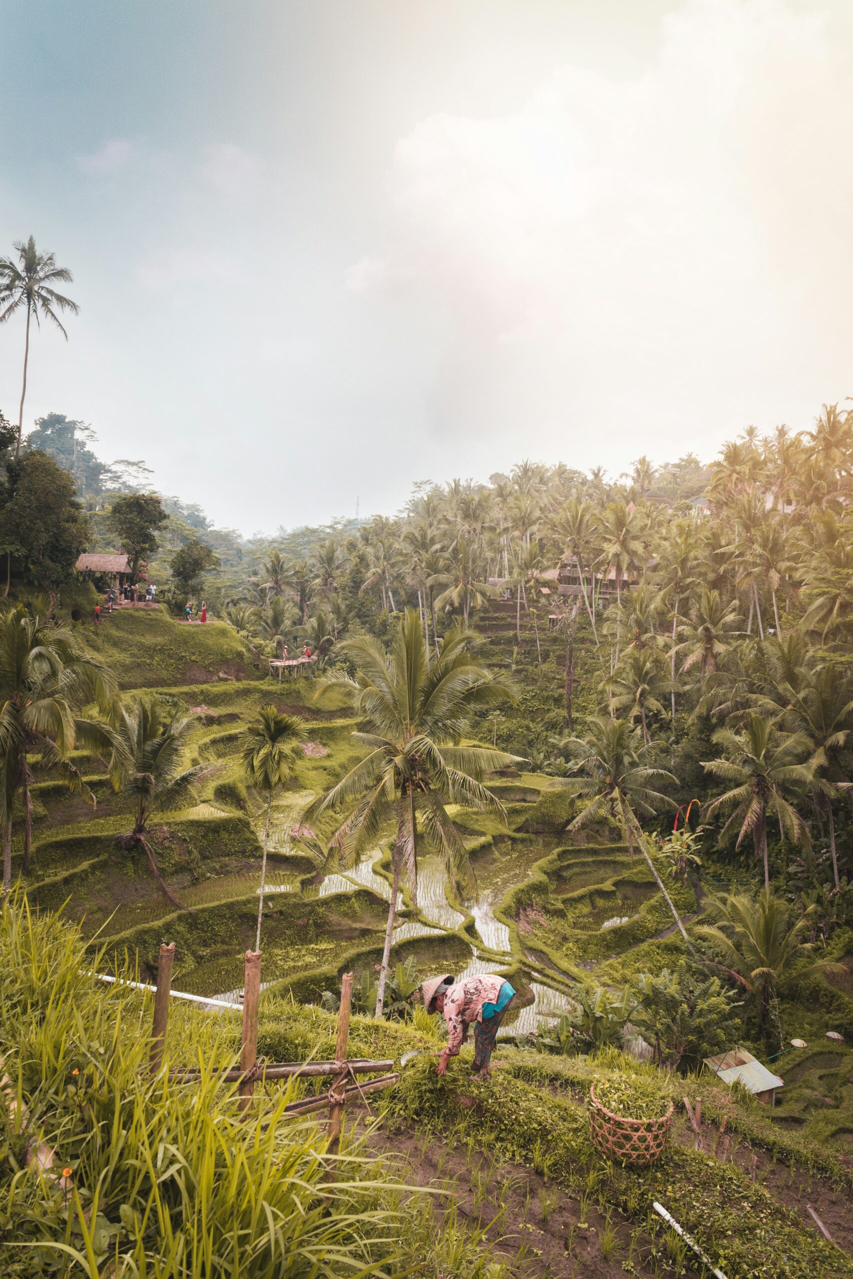 Digital nomad visas in Asia