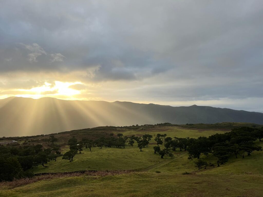 Sun Madeira Portugal