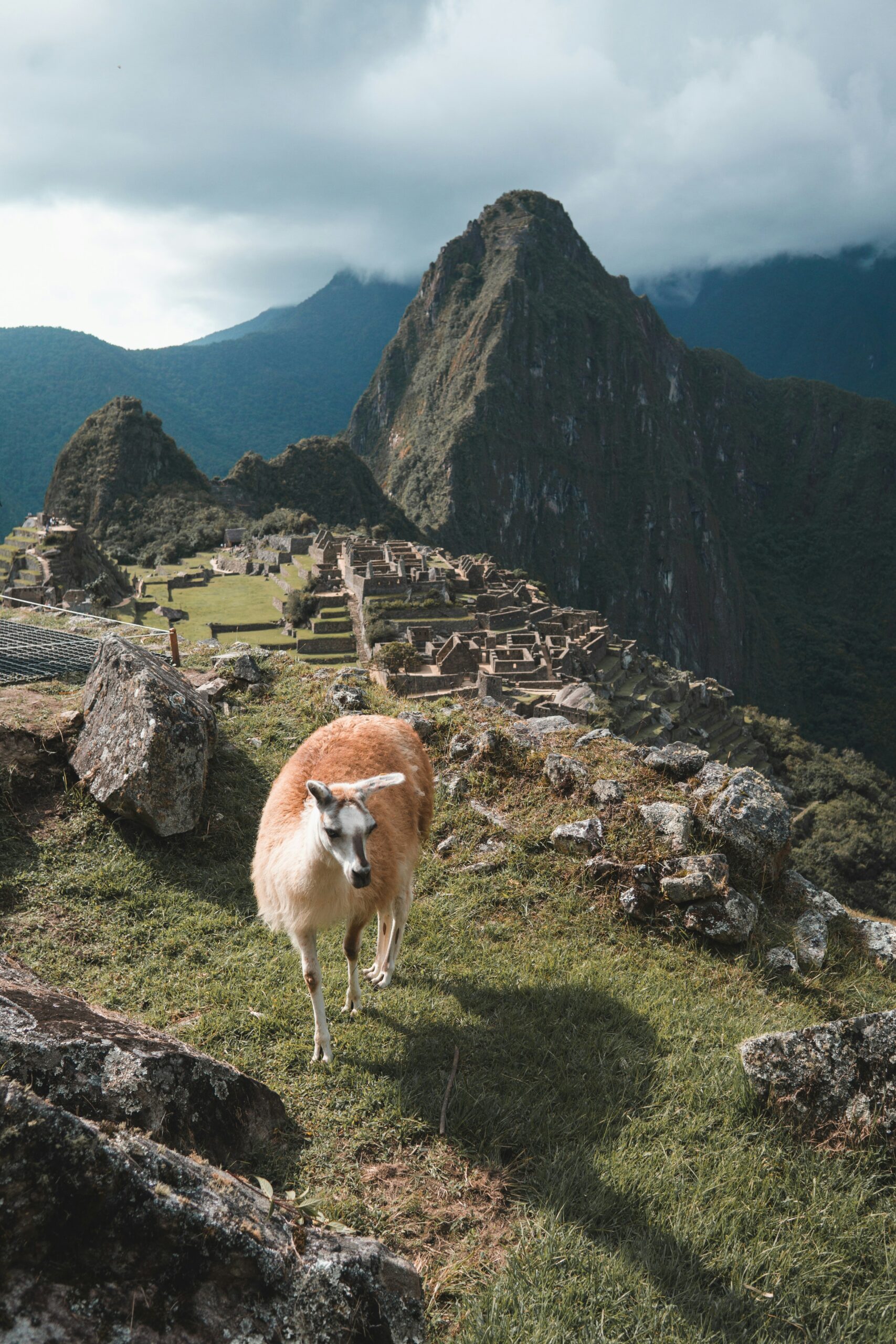 Digital nomad visas in South America