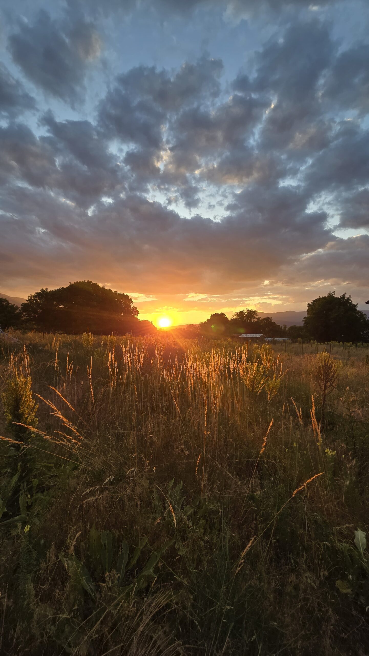 Sunset in Bulgarian field