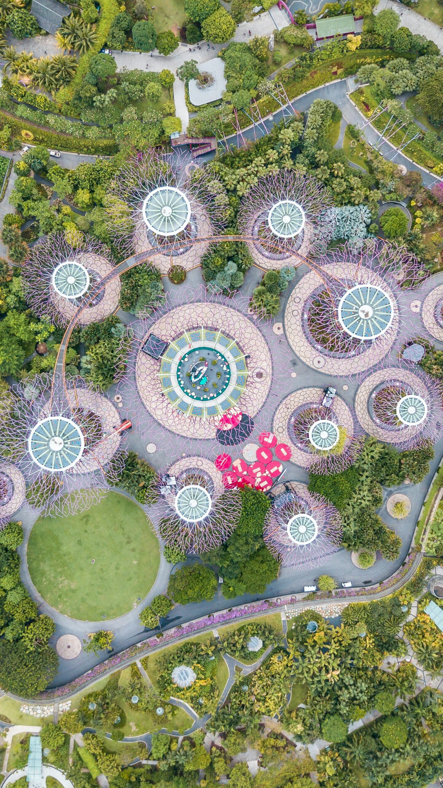 Birds view of Supertrees in Singapore