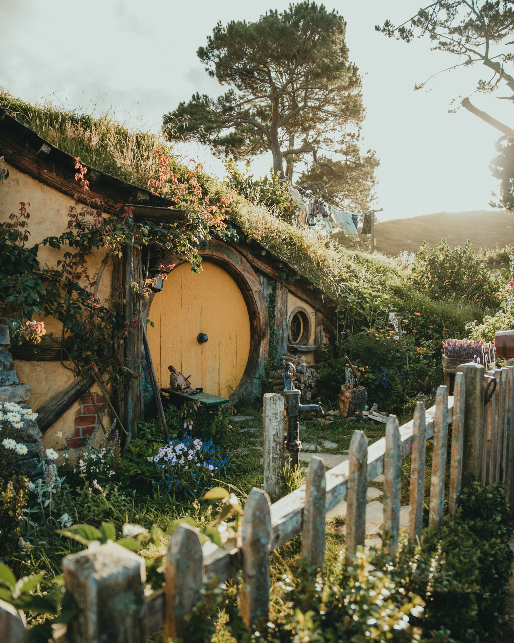 New Zealand; one of the countries with no capital gains tax