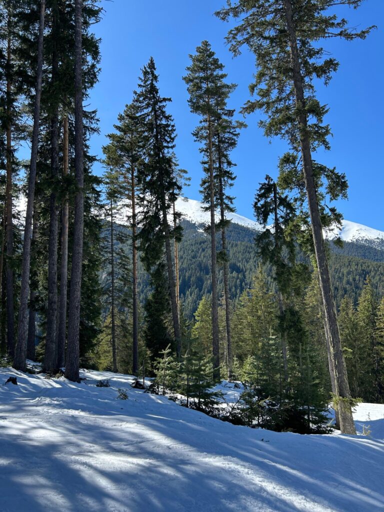 Winter in Bansko, Bulgaria