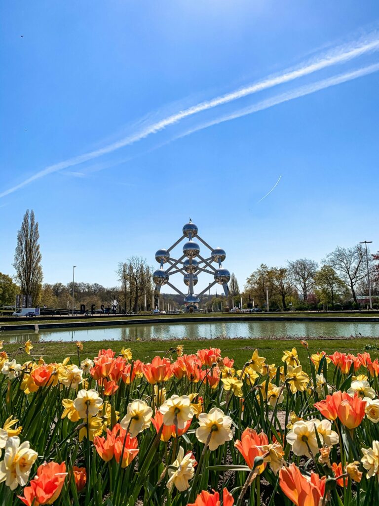 Belgium Tax Residency